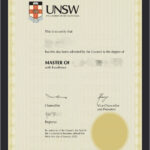 La universidad de nueva gales del sur(UNSW)fake diploma-novelty