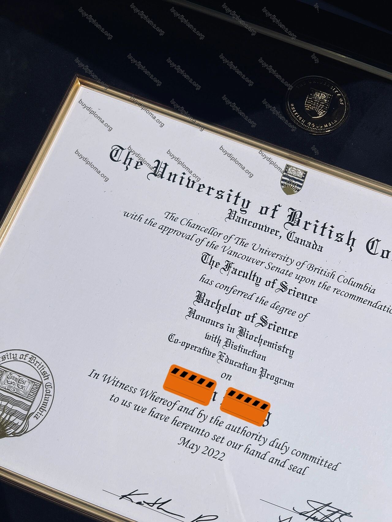 The university of british columbia (UBC) fake diploma-professionally