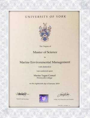 University of York (York) graduation fake certificate