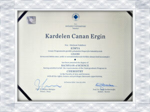 Bogazi?i ??niversitesi fake university certificate maker