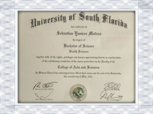 南佛罗里达大学（USF）假文凭学位生成器