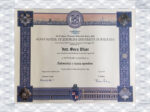 Alma Mater Studiorum - Universit?? di Bologna(Unibo)fake degree online
