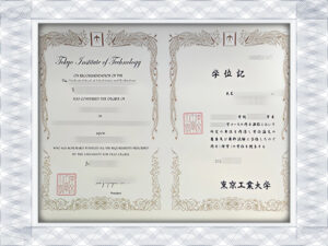 purchase accredited bachelor's degree from Tokyo Institute of Technology(Tokyo Tech)