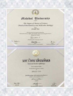 Mahidol University fake university degree certificate