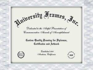 American University of Beirut (AUB) fake diploma creator