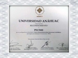 do fake diplomas actually work?Universidad Anáhuac México fake diploma