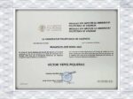 are fake diplomas illegal?Universitat Politecnica de Valencia fake diploma
