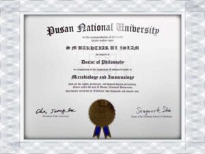 釜山国立大学（PNU）假学士学位