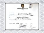 Universidad de Concepción fake vtu degree certificate