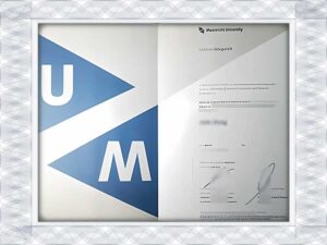 Maastricht University (UM) fake degree and transcripts
