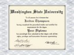 Washington State University fake diploma marksheet