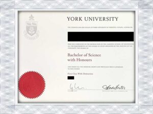 fake york dipkoma.York University (YU) fake diploma
