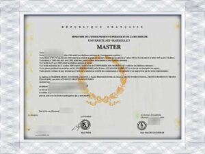 Aix-Marseille University (AMU)fake bachelor's degree template