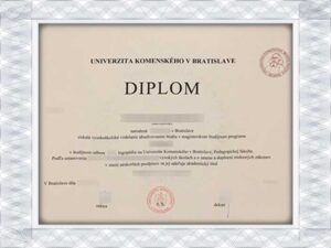 Comenius University Bratislava fake transcript envelope