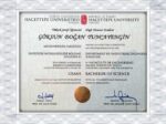 Hacettepe University fake certificate generator