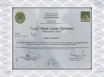 Istanbul University (IU) fake diploma with verification
