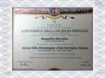 Generator für gefälschte Diplome der Università degli Studi di Perugia (UNIPG)