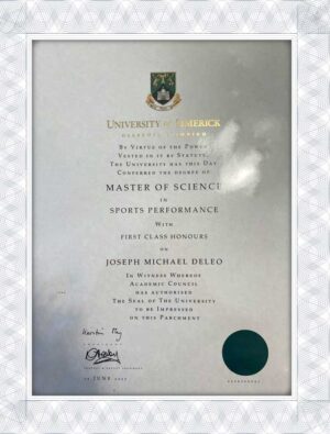 University of Limerick certificate fake