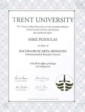 University of Trento fake diplomas and transcripts