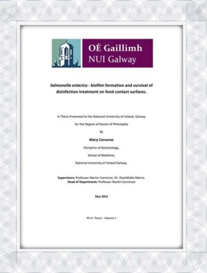 University of Galway degree certificate buy online