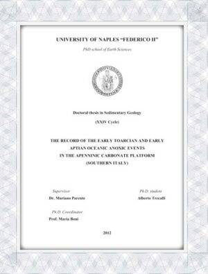 make fake transcript,University of Naples fake transcript