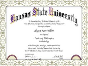 fake degree verification