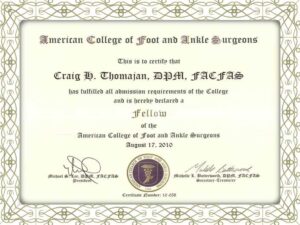 forged gcse certificates