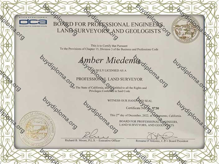 interamerican university fake degree