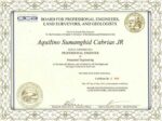 novelty degree certificate