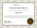 fake harvard diploma template