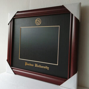 wilkes university diploma frame