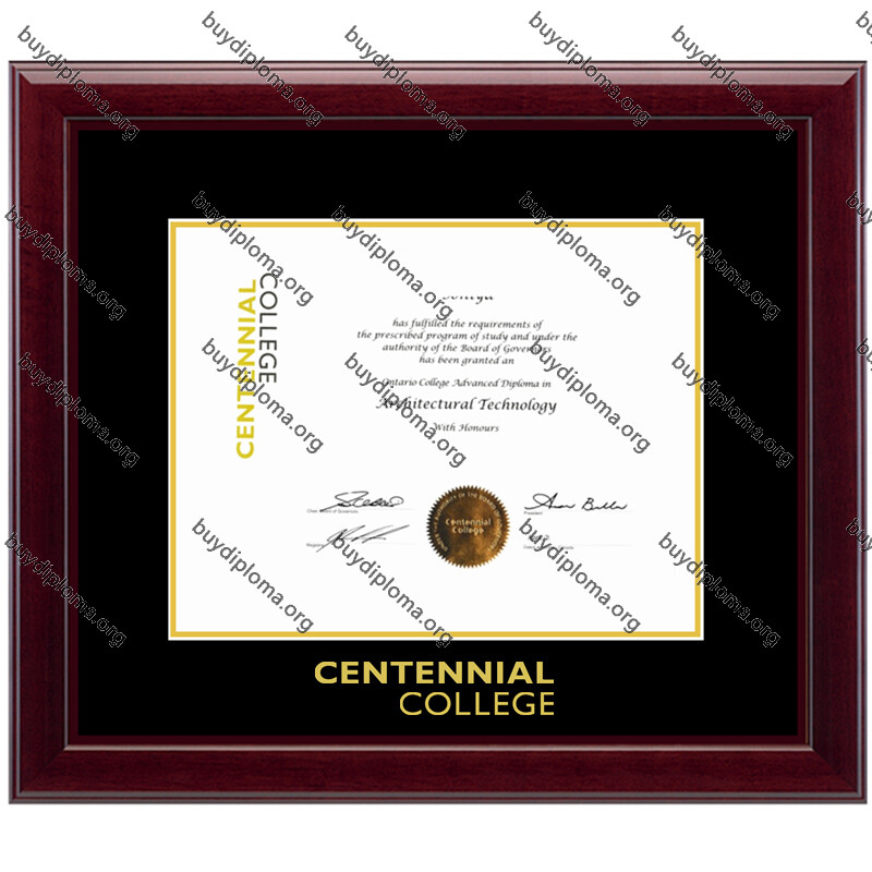 degree display