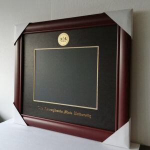 university of houston degree frame