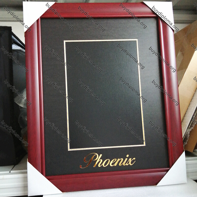 SCA (Specialty Coffee Association) Certificate frame solid wood customization