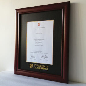 mayo clinic diploma frame