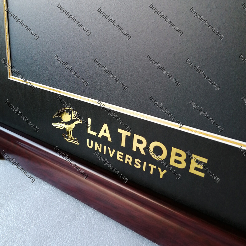 university degree frames