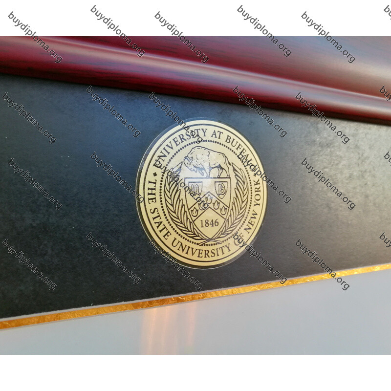diploma and cord frame