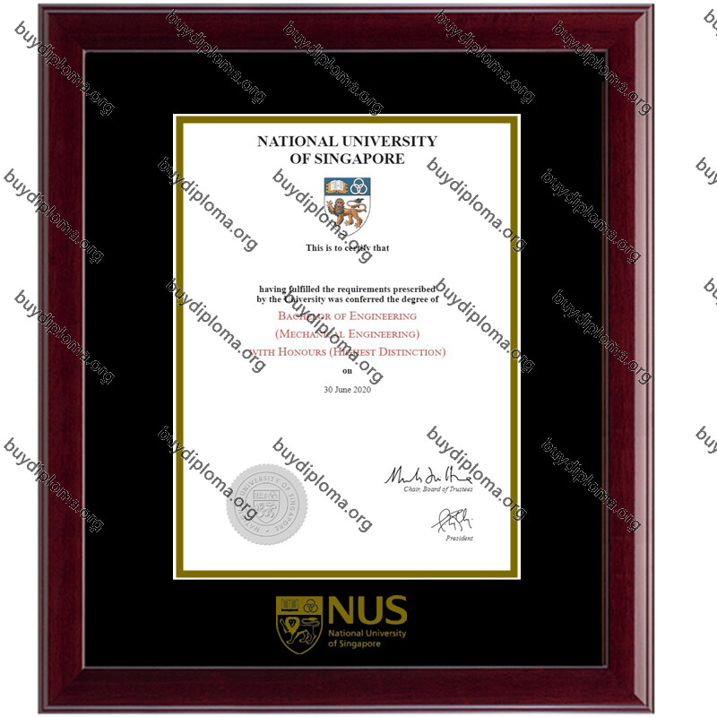 NUS (シンガポール国立大学) 卒業証書/学位フレーム 無垢材カスタマイズ