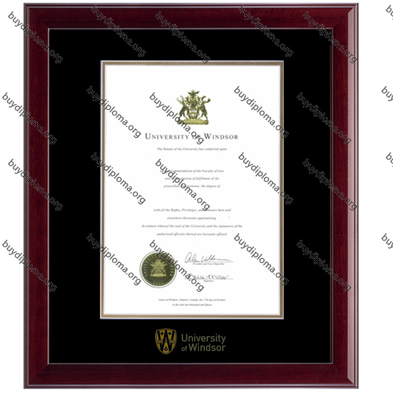 (Universitato de Windsor) diplomo/grada kadro el solida ligno, adaptita